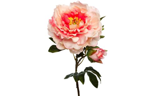 Пион нежно-розовый 67см (9F28071H-4820)