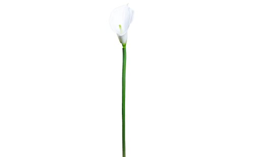 Калла белая 70 см (8J-1112S0005)
