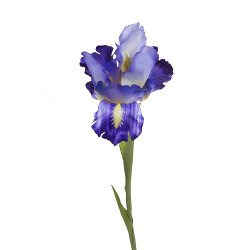 Ирис синий 70 см (9F27020-1382)